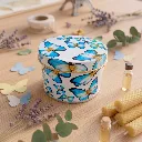 Lata-Argentina-Mariposas.webp