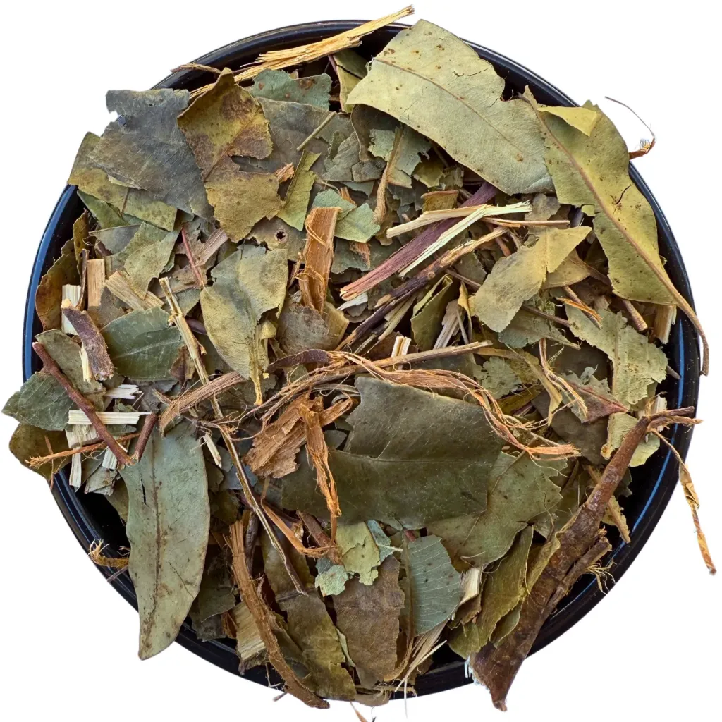 Eucaliptus Premium