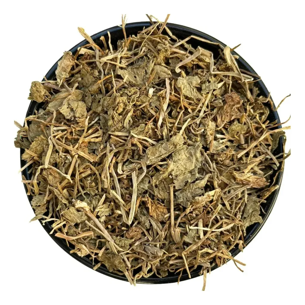 Centella Asiática Premium